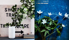 Load image into Gallery viewer, Inspired by Nature by Hans Blomquist: Hardcover; 208 pages / English