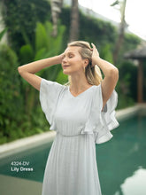 Load image into Gallery viewer, Lilly Dress in Silver