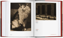 Load image into Gallery viewer, Camera Work, Alfred Stieglitz