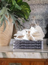 Load image into Gallery viewer, Costa Rica Coffee Table Book - SLICE OF PURA VIDA-DISE