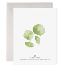 Load image into Gallery viewer, E. Frances Paper - Pancake Plant  Pilea Plant Thank You Card (Boxed Set of 6): 4.25 X 5.5 INCHES
