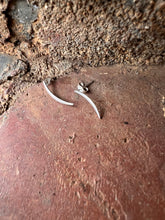 Load image into Gallery viewer, Anuenue Earrings E#6
