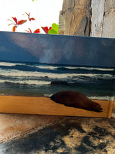 Load image into Gallery viewer, Kauai Beaches an Island Journey
