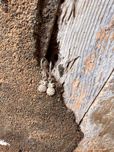 Load image into Gallery viewer, Anuenue Earrings E#4 Charms
