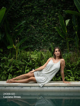 Load image into Gallery viewer, Luciana Dress in Sky Arctic Blue Print
