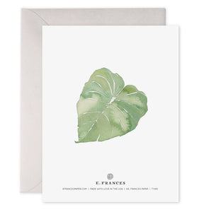 Leaves Thank You Card or Boxed Set