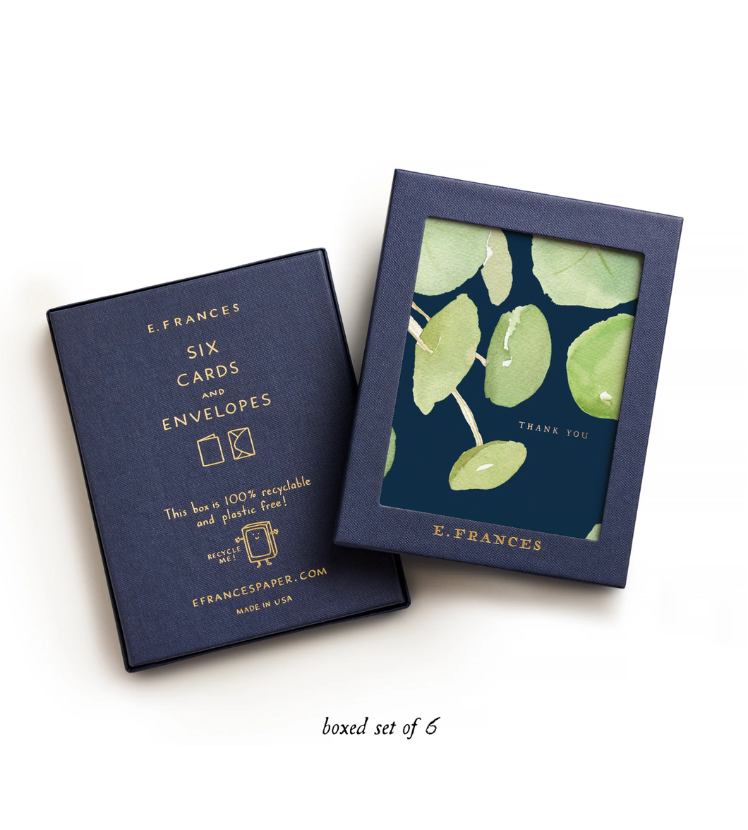 E. Frances Paper - Pancake Plant  Pilea Plant Thank You Card (Boxed Set of 6): 4.25 X 5.5 INCHES