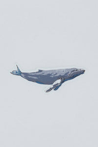Wings Hawaii - Whale Sticker: Whale 1
