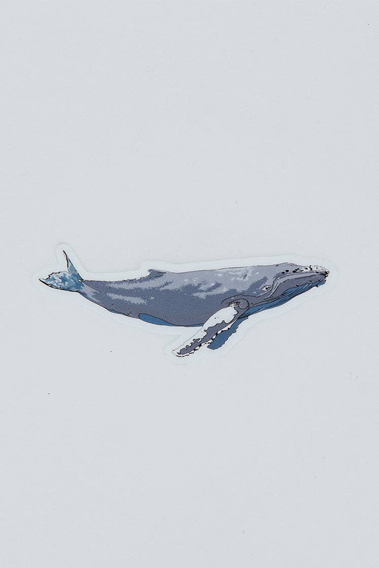 Wings Hawaii - Whale Sticker: Whale 1
