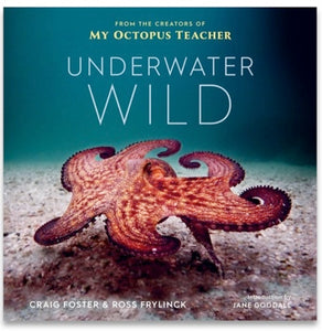 Underwater Wild, From the Creators of My Octopus Teacher