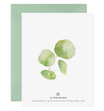 Load image into Gallery viewer, Pancake Plant Thank You Card or Boxed Set
